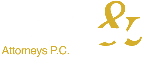S&D Logo para DejanosLucharPorTi